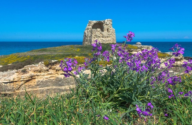 Villetta Cati - SAN FOCA - LECCE With garden, porch and parking space