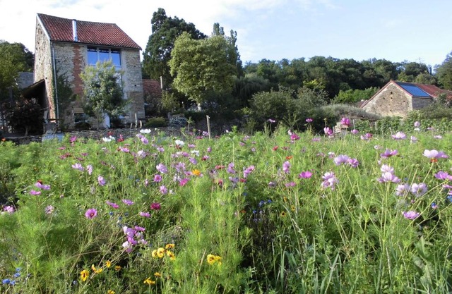 Vineyard Garden Studio