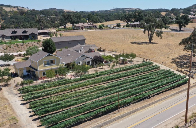 Vineyard Guest House, Fabulous Views and Covered Parking