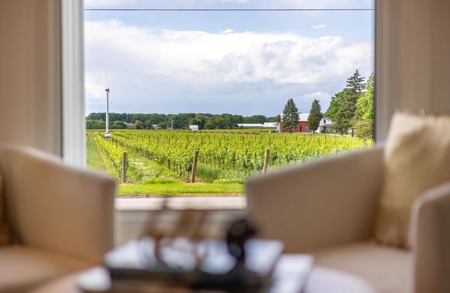 Vineyard Views Niagara ☆ Stunning Brand New 2 Bedroom Home w/Sauna
