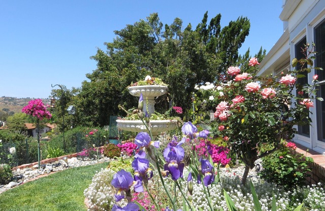 Vineyard View with King Bed - 50% off Monthly Rates