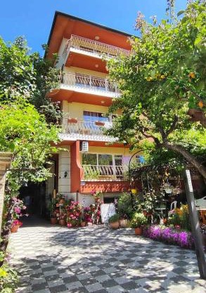 Violeta 7 Guest House