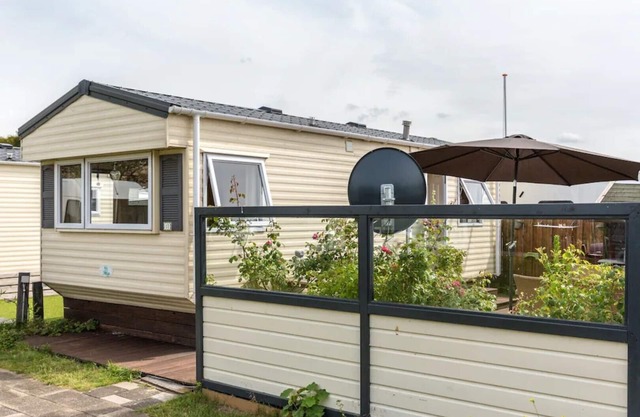 Vivi 7.50 x 3.10 Chalet