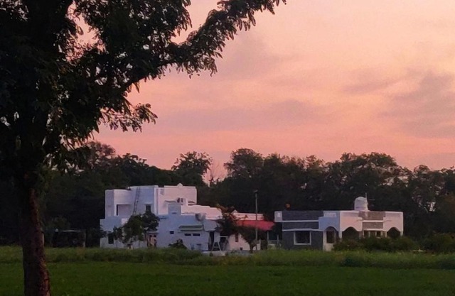 Vriksh Jawai The farm stay