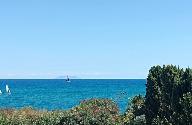 Vue mer Appartement Lumineux 6 Pers. Marines de Bravone Linguizzetta Corse