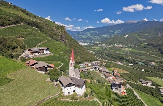 Winery Hofer Hof - CA. TRAMINER