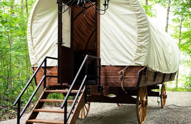 WAGON 1 in The Graystone Ranch in the Woods