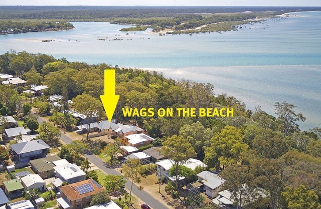 Wags On The Beach - Toogoom - Beachfront- 4BR-Aircon- Pets OK