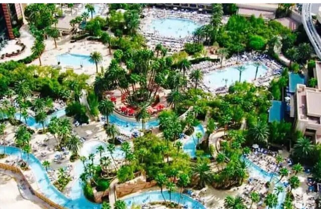 Walk to Formula 1 Las Vegas MGM Signature Tower 1 Studio No Resort Fees