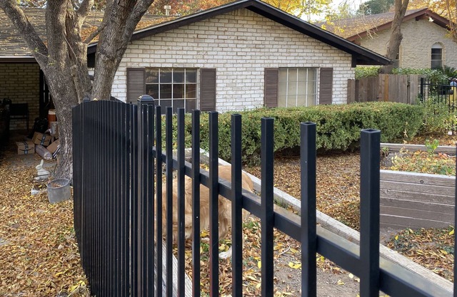 Walk to Zilker Park, Barton Springs, restaurants. Active ride share area.