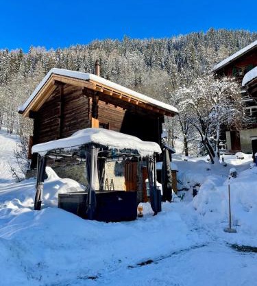 Walliser Stadel
