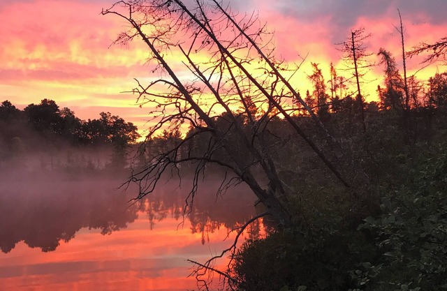 Waterfront Cabin: Canoes, Kayaks, Pontoon! Pets Ok. Colorama Fall Specials!