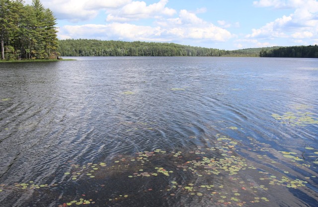 Waterfront Cottage on Scenic Sportsman Pond
