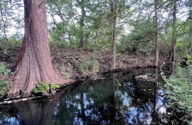 Welcome to Double Creek Farm, your tranquil retreat just outside of Austin.