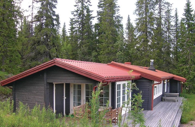 Welcome to Trysil and this cozy cottage.