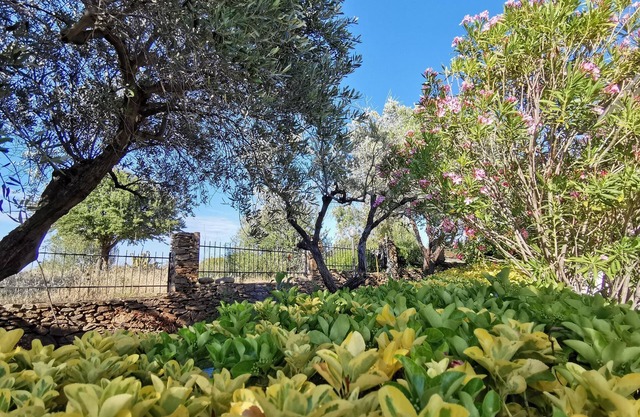 Welcomely - La Casa Di Rita - Salamaghe