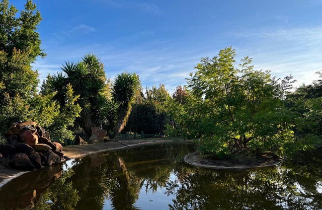 White Linen Guesthouse