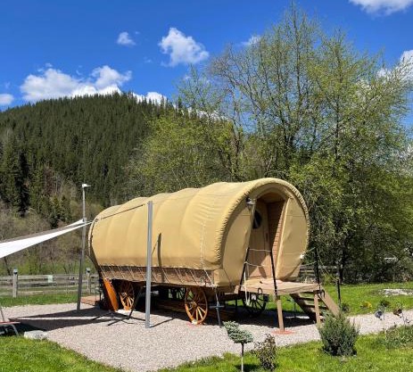 White Spring Glamping
