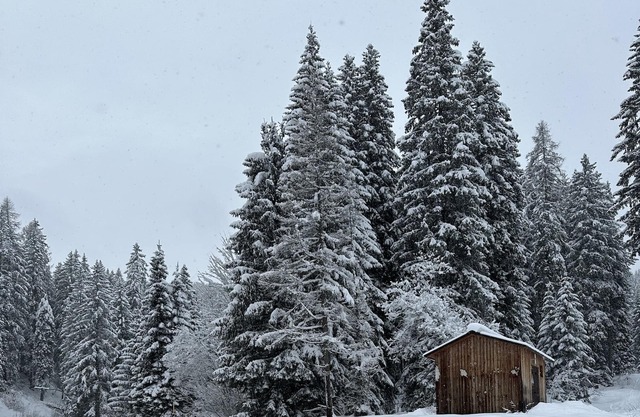 WI-FI pets allowed, 10 min from Lake Tovellago santa Giustina