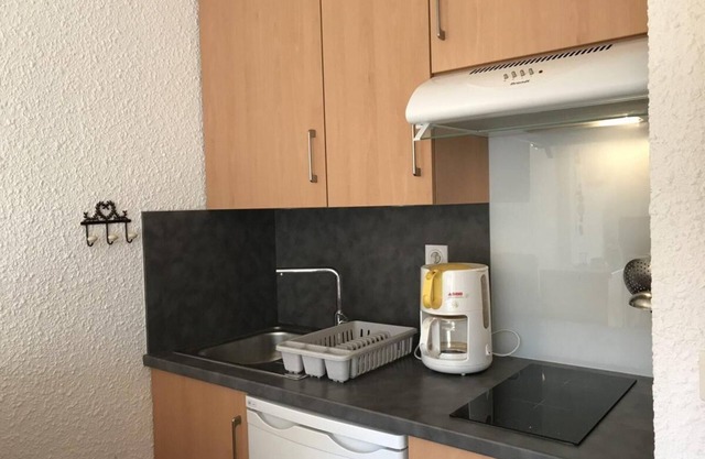 Wifi, ski-in/ski-out & foot of the slopes, 3rd floor, balcony, tv, ski locker, 25m², Villard de Lans