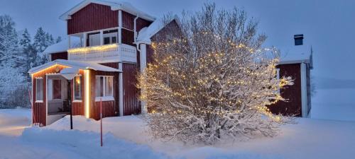 Wild Power Guesthouse