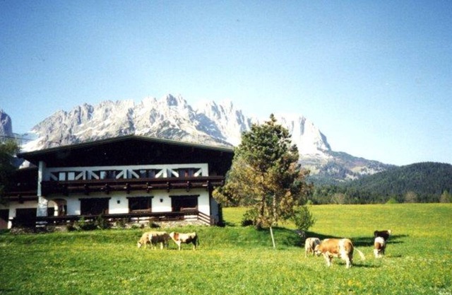 Wilder Kaiser or Kitzbüheler Horn double room with shower/WC - Pension Sunnbichl