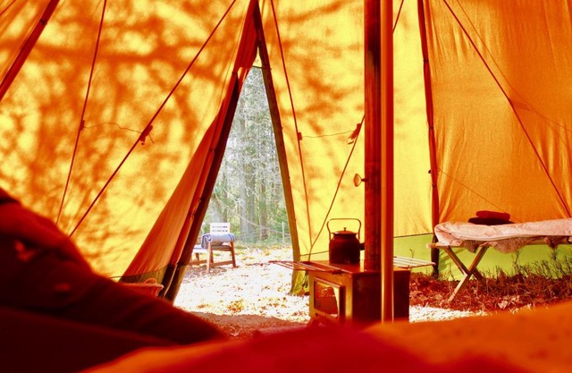 Wildlife camp In a Nordic tipi