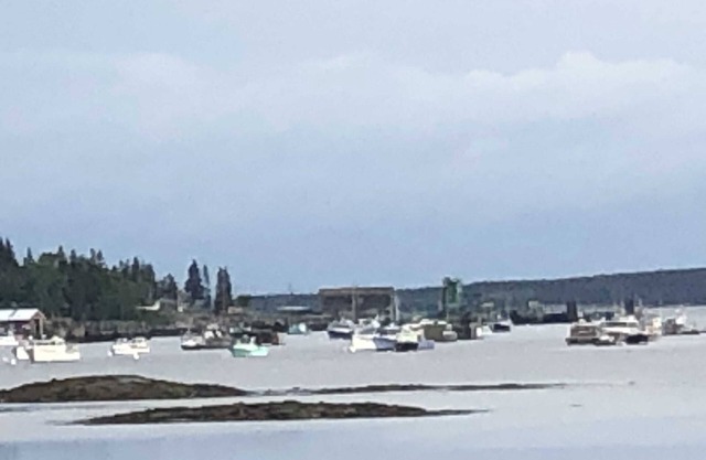 Winter Rental Bass Harbor Waterfront Acadia National Park, Mt Desert Bar Harbor