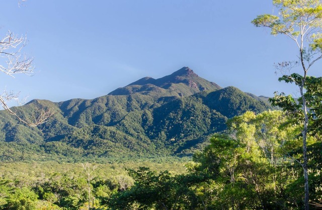 Wompoo Eco Retreat - Mangosteen Bungalow with views