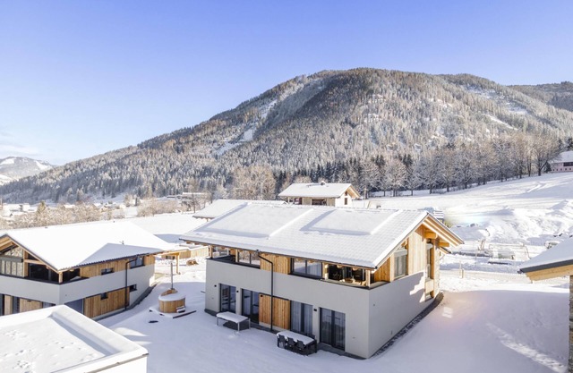 Wonderful ski in-ski out lodge