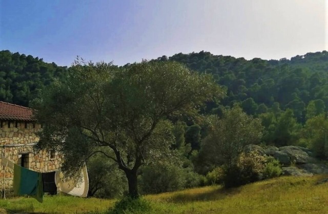 Wood & Stone dream view house B