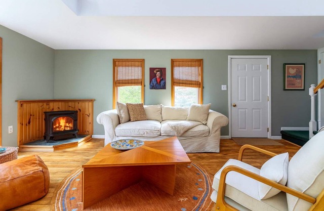 Wooded Way: Forest Views—Scenic Days—Starry Skies