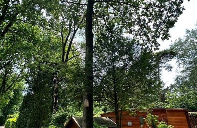 Wooden holiday chalet is located in the 5-star bungalow park with swimming pool