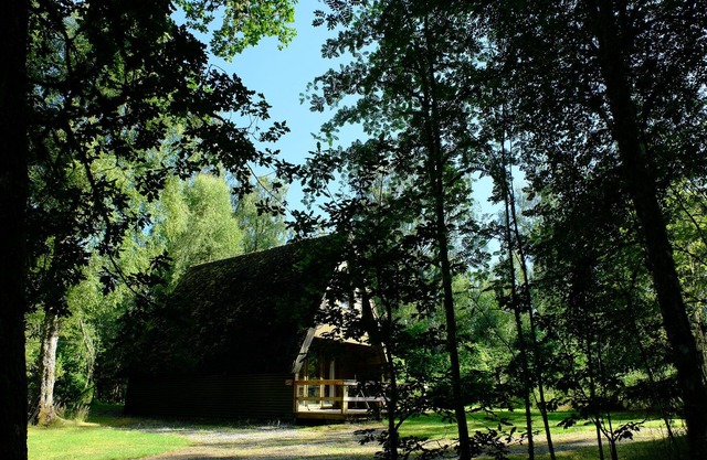 Woodland cottage nestled in woods on the banks of a glorious Highland River