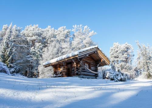 WoodMood Cabin with Private Spa