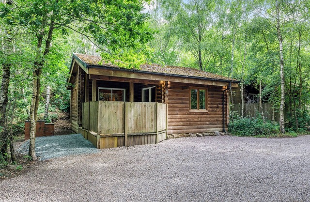 Woodpecker Log Cabin 2