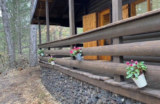 Woods etna chalet