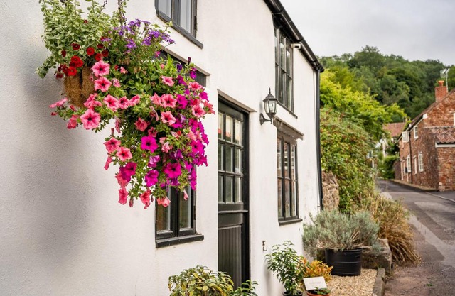 Woodview - cosy 1840s cottage in Chew Valley and Mendip AONB