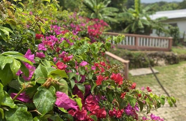 YanceyLargoEstate 2BR Villa w/Mountain Views by RedAwning