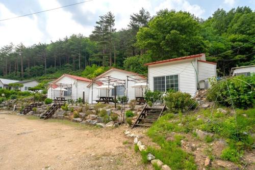 Yang yang Sanjang Love Story