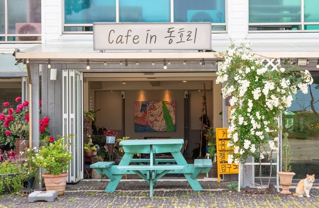 Yangyang Bono Pet-friendly Pension