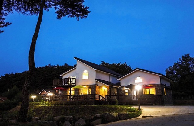 Yangyang Mono Tree Pension