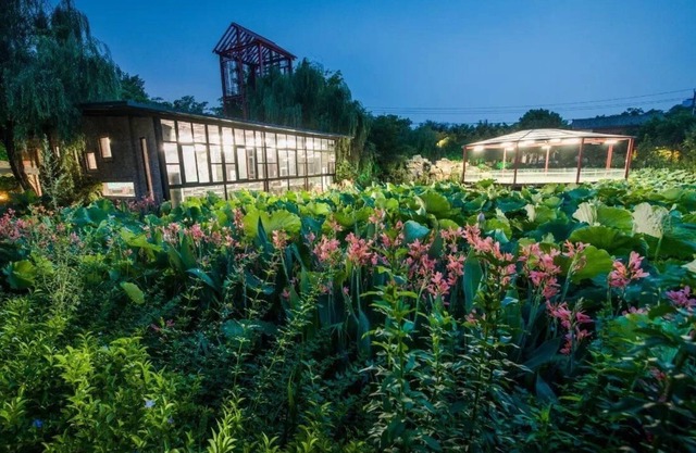 Yi Su Li - Courtyard in the City