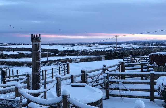 Yorkshire Dales - LUXURY 5 STAR GOLD Pet friendly Cottage, sleeps 4 with Hot Tub