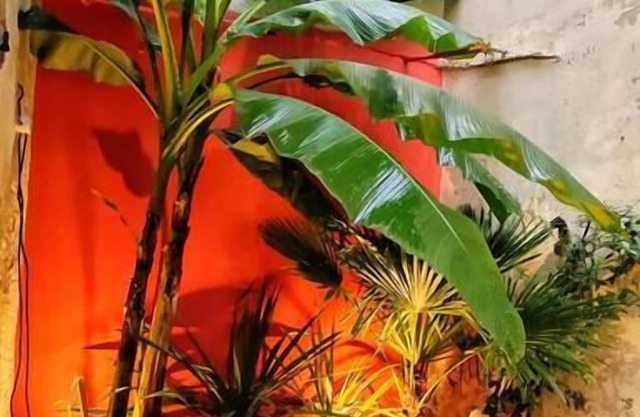 Your Stopover - Jungle Sauna & Spa