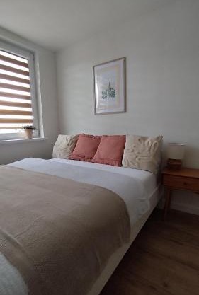 Zamek i Rzeka- apartament w Malborku