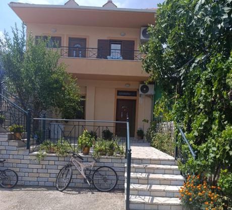 Zota Guesthouse