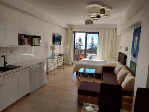 Strbske Pleso Apartment | Štrbské Pleso - rezidencia ARMERIA apt 30