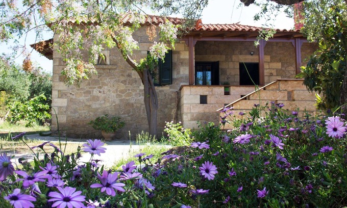 Lefktron Cottage | παραδοσιακό εξοχικό σπίτι που βρίσκεται στην ηρεμία του ελαιώνα