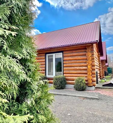 Holosiivskyj Hotel | Гостевой дом Фестивальный